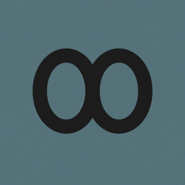 Anker Q30 Q35 Replacement Ear Pads — Black Leather