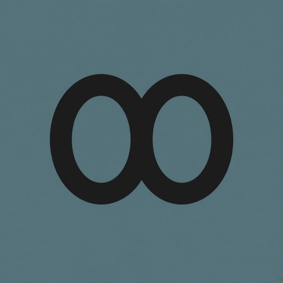 Anker Q30 Q35 Replacement Ear Pads — Black Leather placeholder