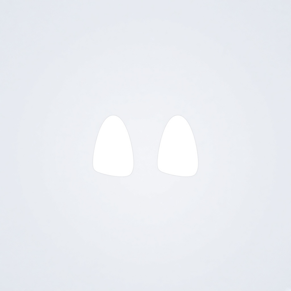 Apple AirPods Pro 2 Replacement Ear Tips — White Silicone Size S placeholder