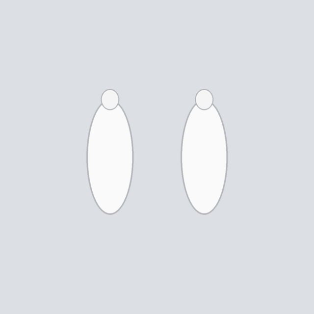 Apple AirPods Pro Replacement Ear Tips — White Memory Foam Size L